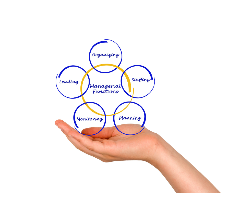 executive function